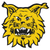 Ilves